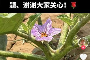 火力凶猛！英格拉姆20中10砍下全场最高30分 外加8板6助1断